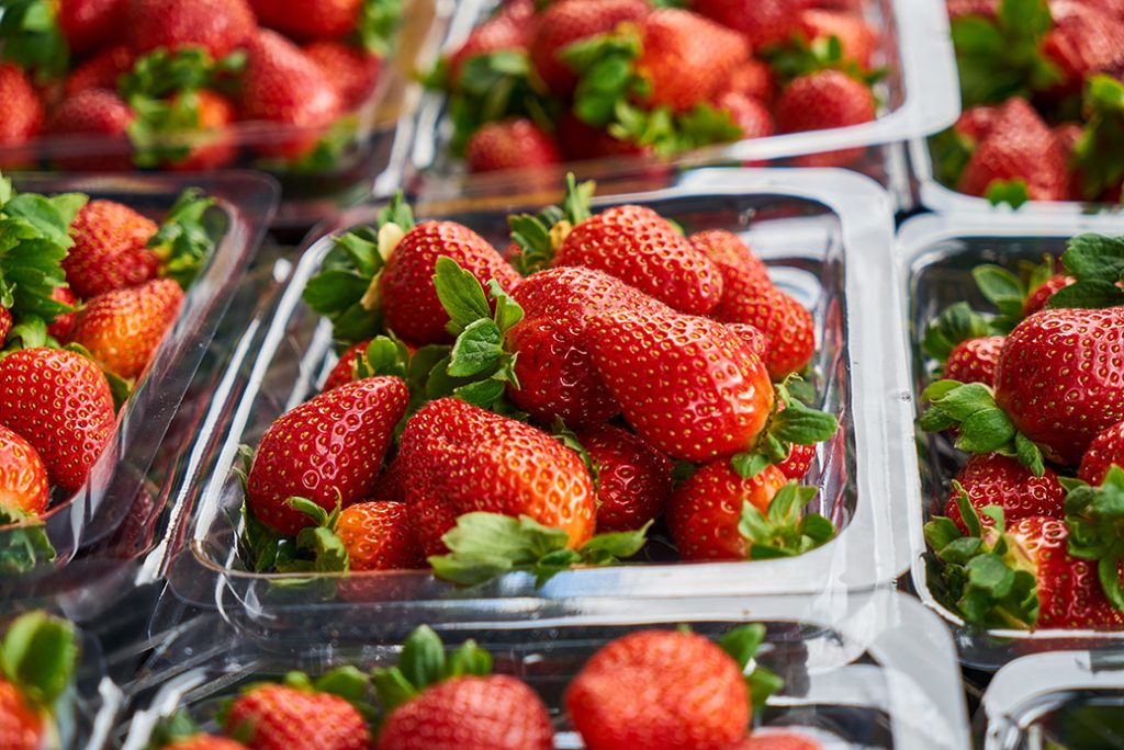 鲜新草莓塑料盒装