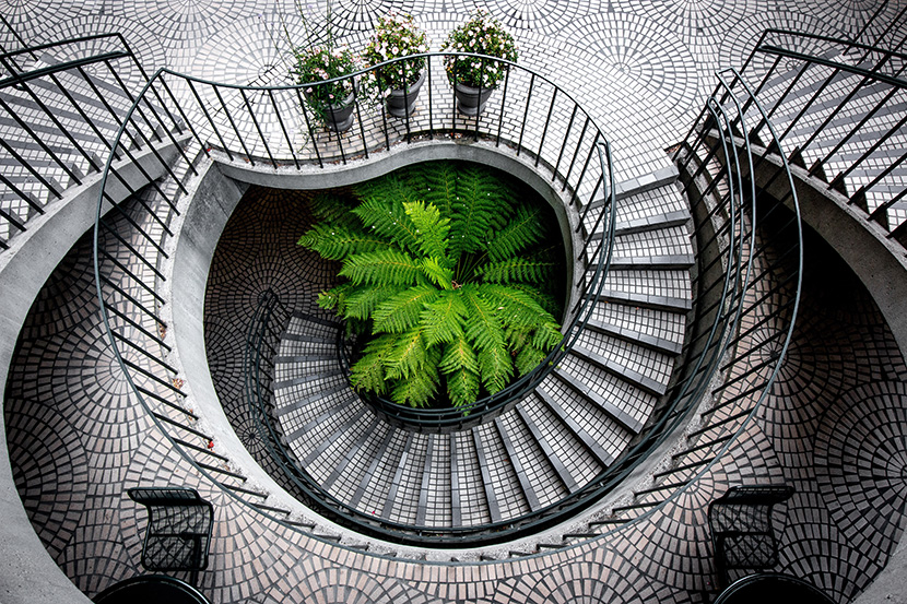 旋转的现代楼梯和绿色植物