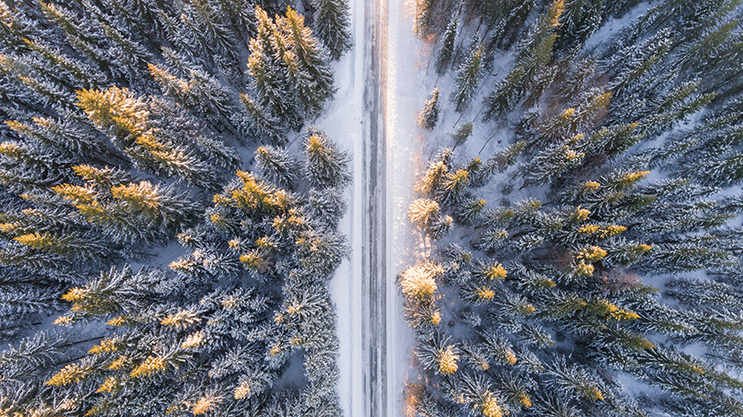 雪地森林公路航拍鸟瞰图