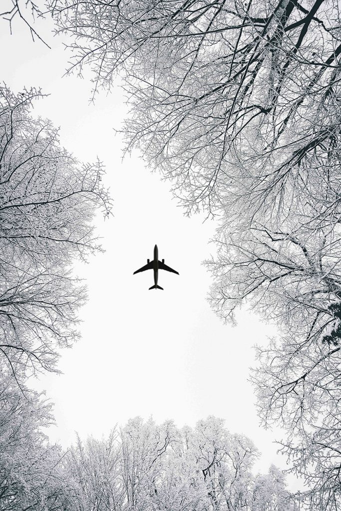 雪地树林中仰视空中的飞机