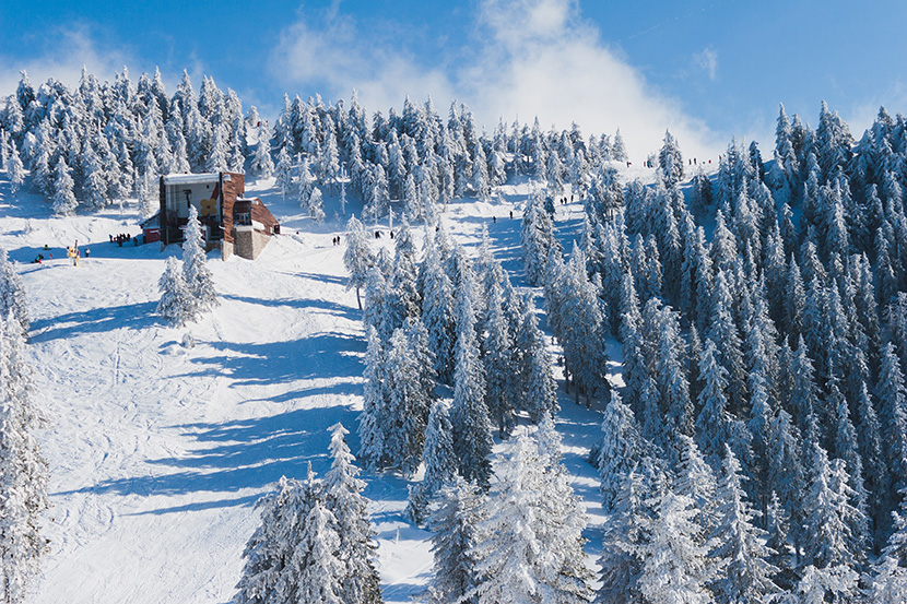下雪的树林里的高山滑雪场