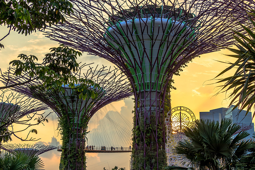 新加坡植物园（英文：Singapore Botanic Gardens）一角