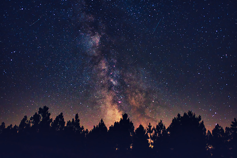 树林夜晚中的星空银河