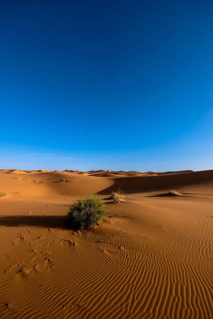 蓝天下的沙漠荒野