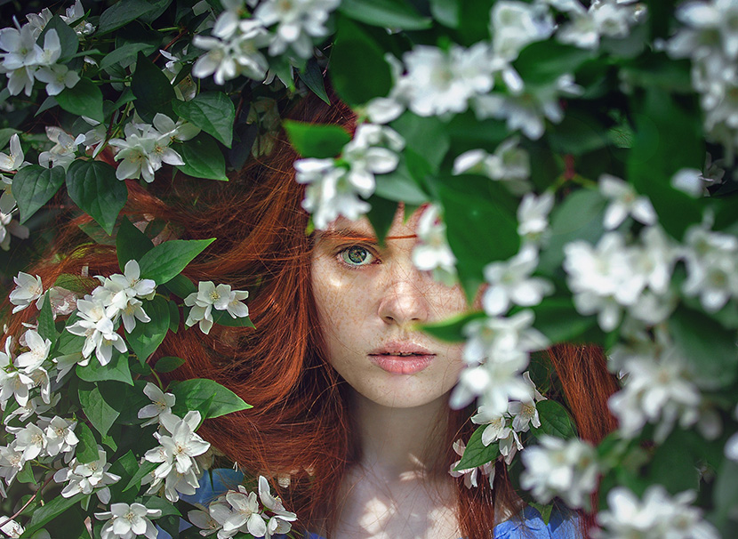 白色花丛中的红发美少女