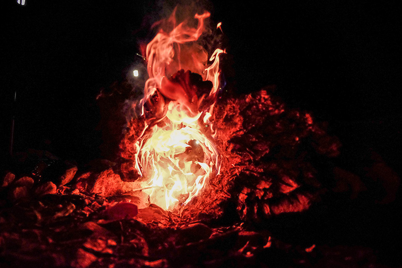 燃烧的木头和火焰