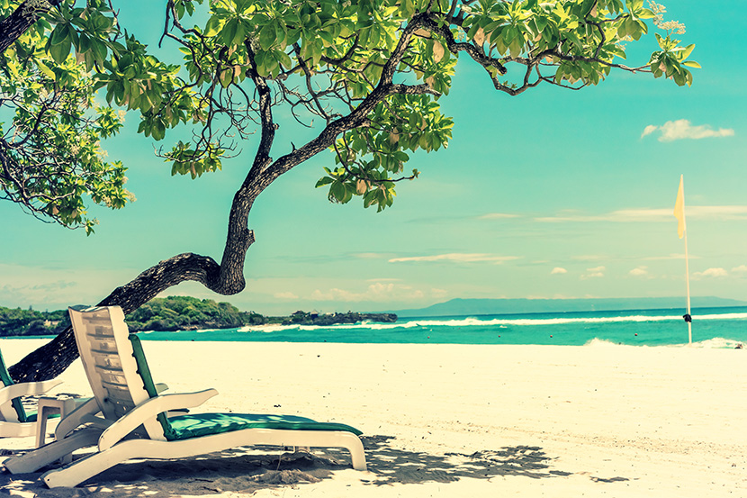 阳光沙滩躺椅树阴美完的假期