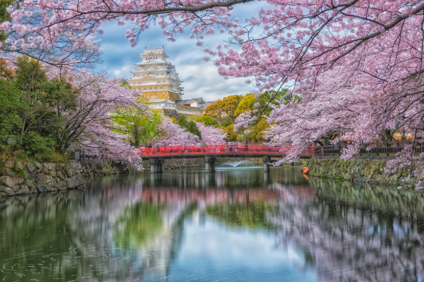 日本京都旅游古建筑和樱花河流小桥
