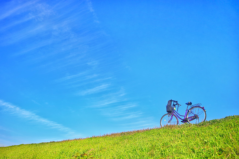 草地上的一辆女式自行车