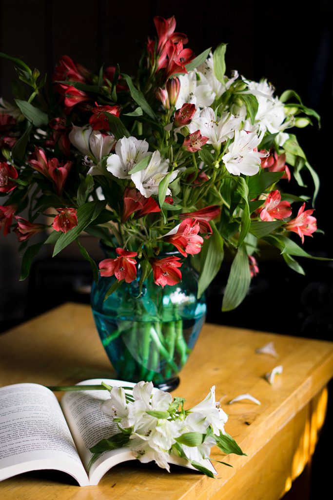 一瓶红白百合花和一本书