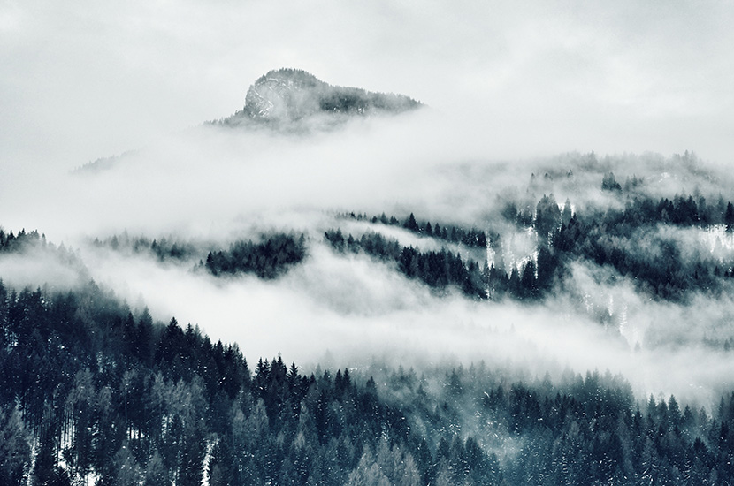 雾气弥漫整个山林