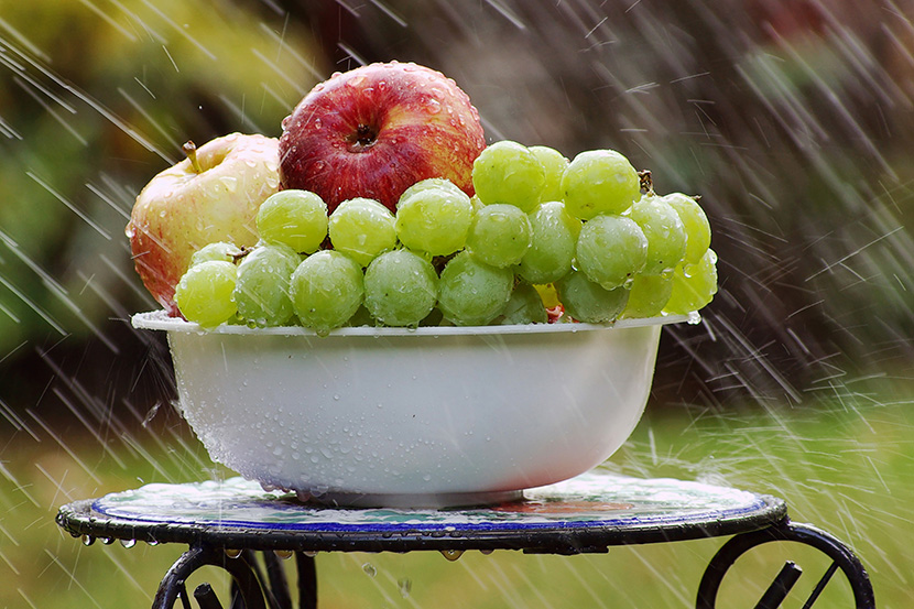 雨中的葡萄和苹果