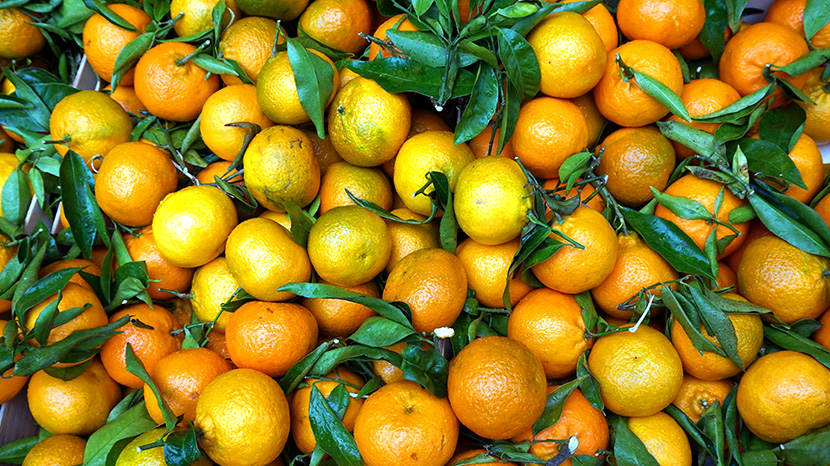 一堆桔子柑橘