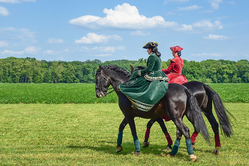两个骑马的欧洲中世纪贵妇人