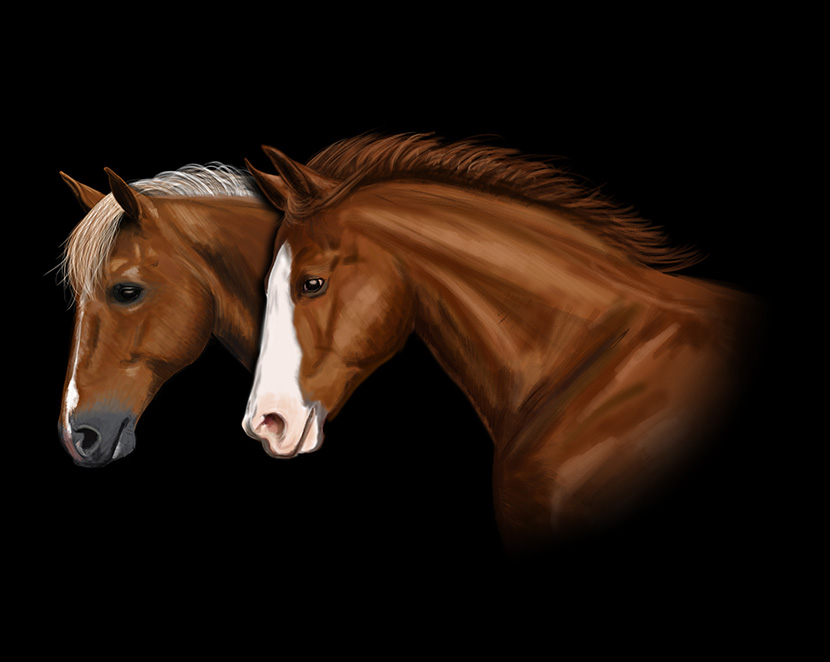 两匹马的绘画
