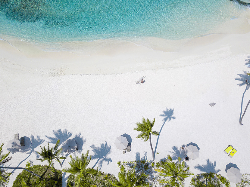 沙滩遮阳伞躺椅椰子树