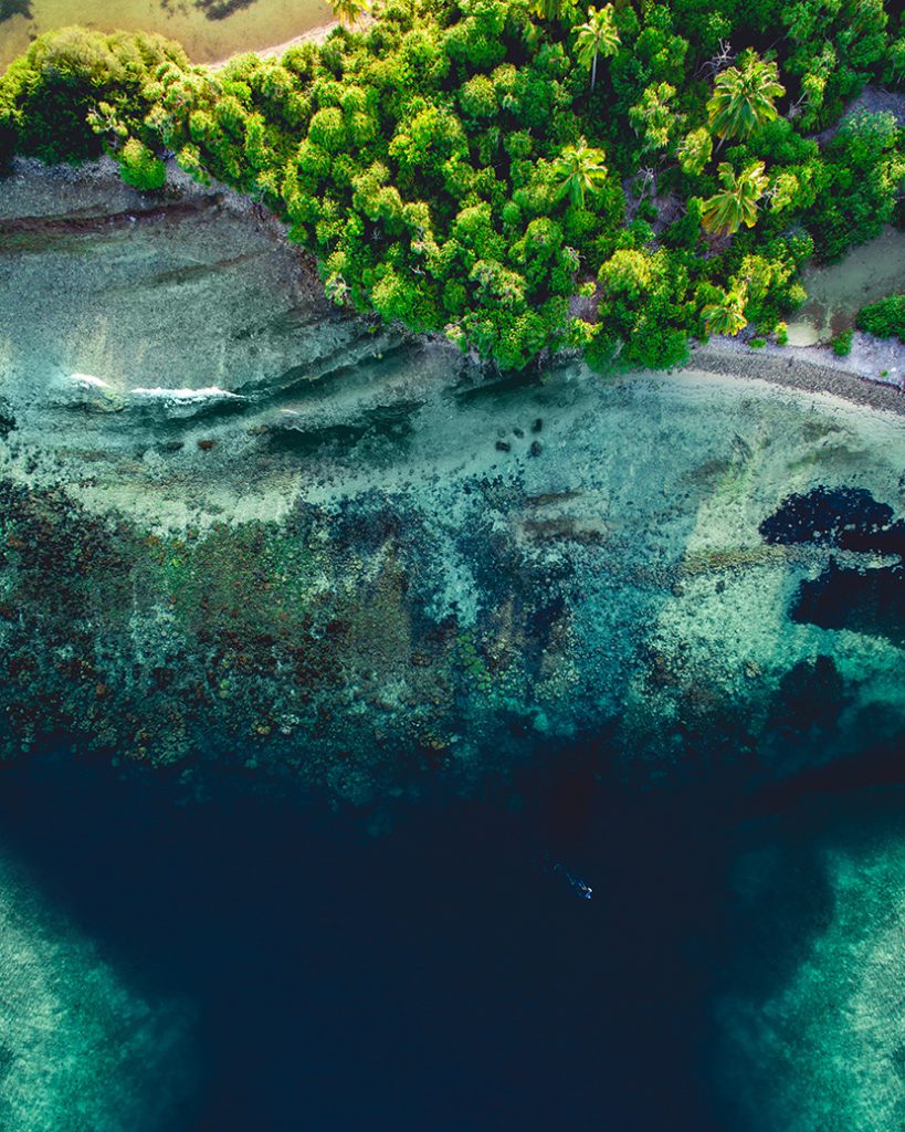 海边礁石树林航拍图