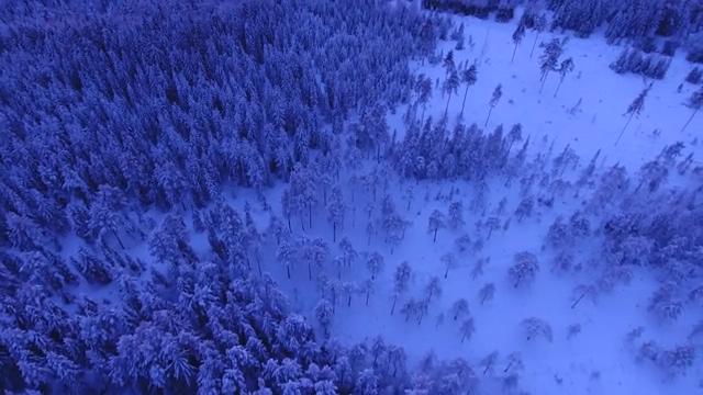 北欧冰雪森林的航拍短视频素材【4K】