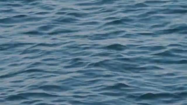 海洋表面波浪起伏短视频素材【4K】