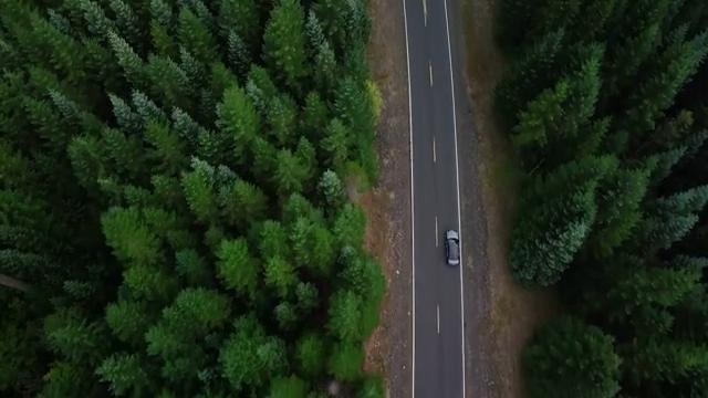 绿色森林中行驶着的小轿车航拍短视频素材【4K】