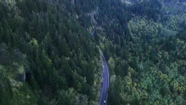 在大山深处树林中穿行着的小汽车航拍短视频素材【4K】