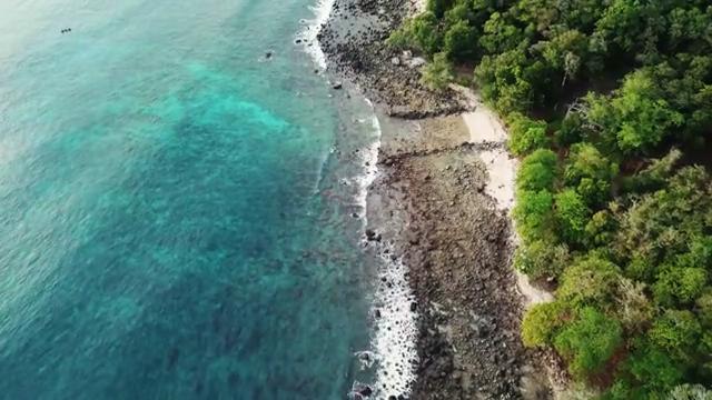 海岸边的乱石沙滩和绿色树木森林航拍短视频素材【4K】