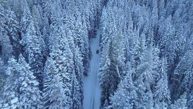 森林雪地中行驶着的小汽车航拍短视频素材【4K】