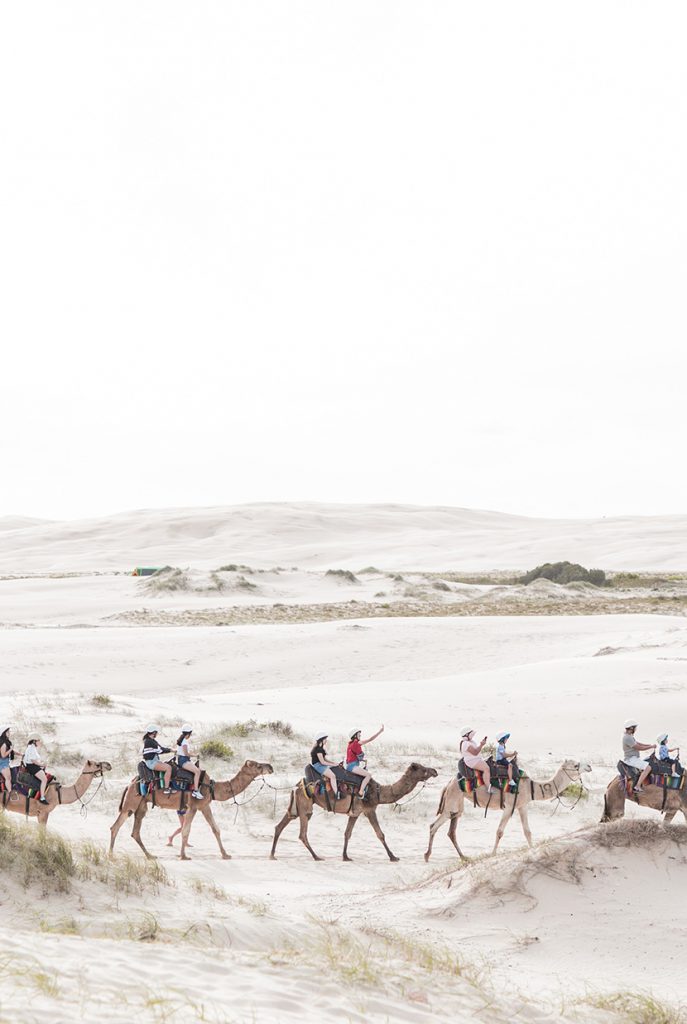 在沙漠中旅游的骆驼队伍