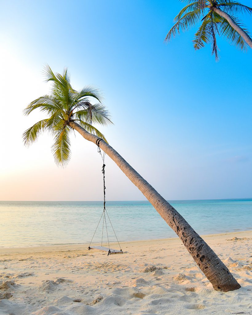 沙滩椰子树吊椅