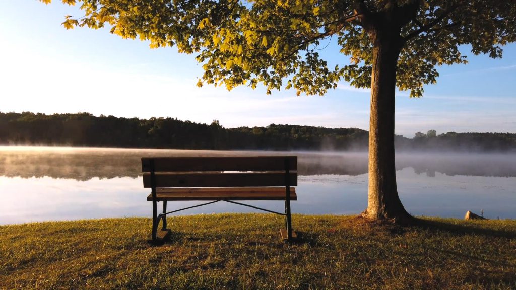 静静地坐在湖边长椅上看雾气慢慢散开延时摄影短视频素材