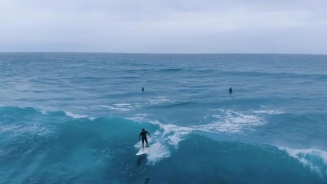 在海边冲浪失败的男人航拍短视频素材【4K】