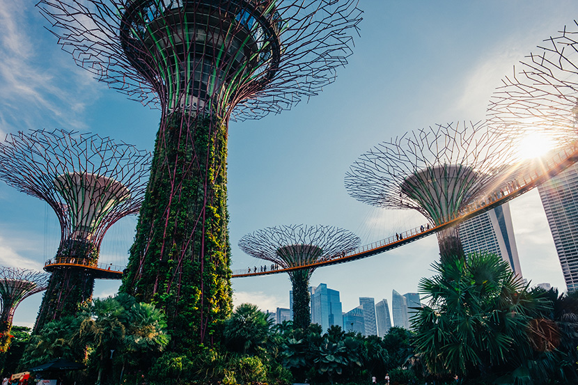 新加坡都市里的植物园