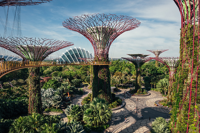 新加坡热带植物园