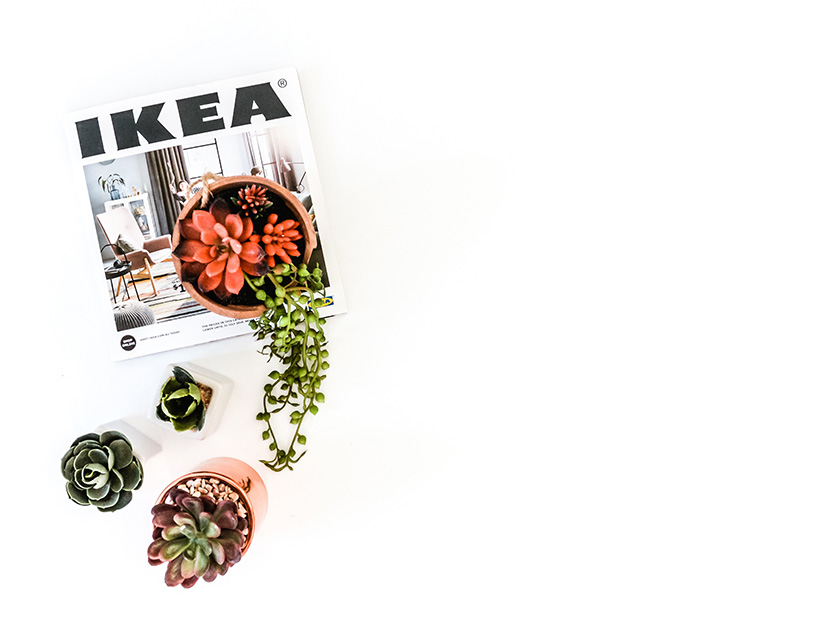IKEA宜家杂志和多肉植物