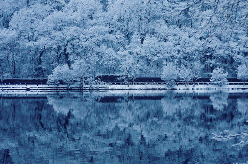 冬天的湖面树林白妆素裹