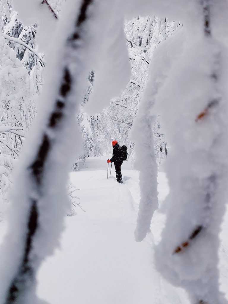 在雪山森林中徒步的人