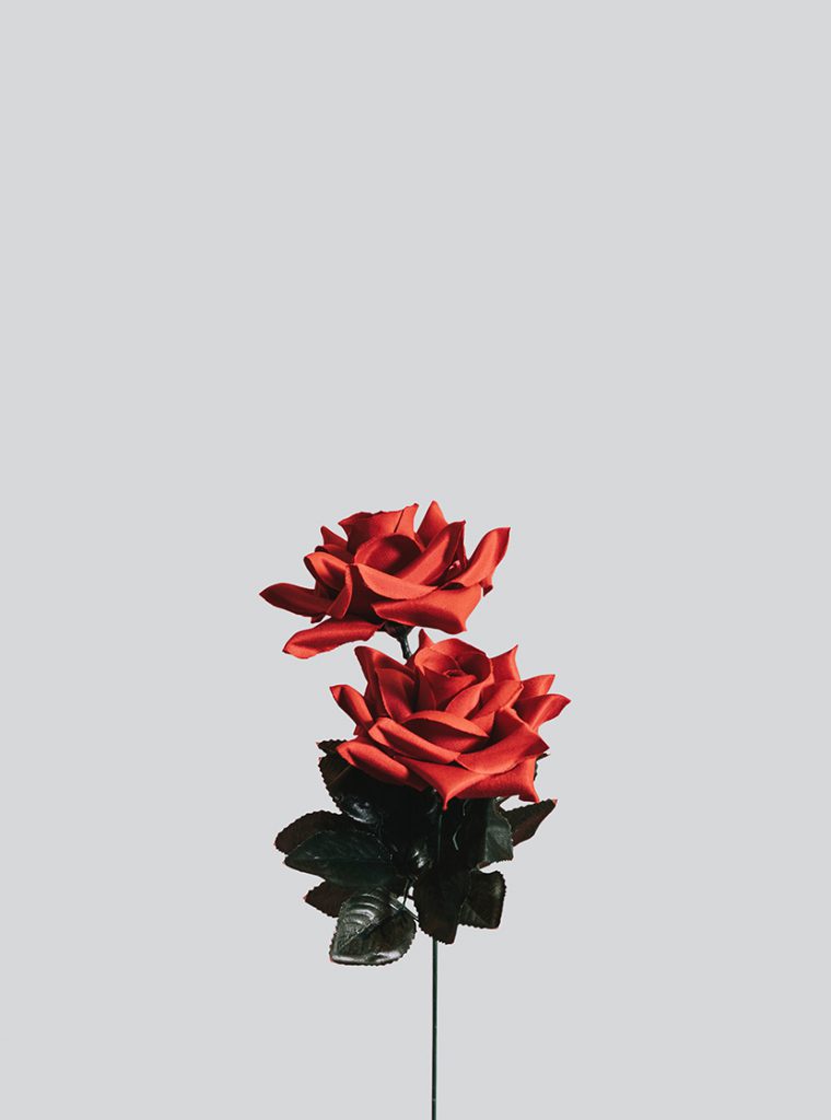 两朵假的玫瑰花