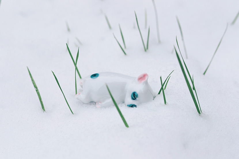 雪地里的小陶瓷白猫