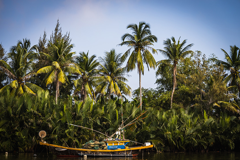 热带雨林中的小木船