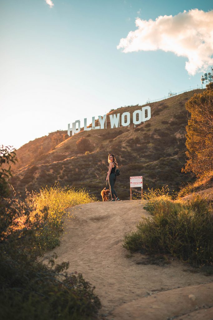 hollywood好莱坞山道上遛狗的美女
