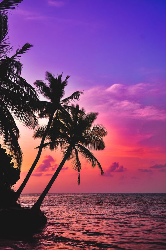 朝霞下的海浪沙滩椰子树