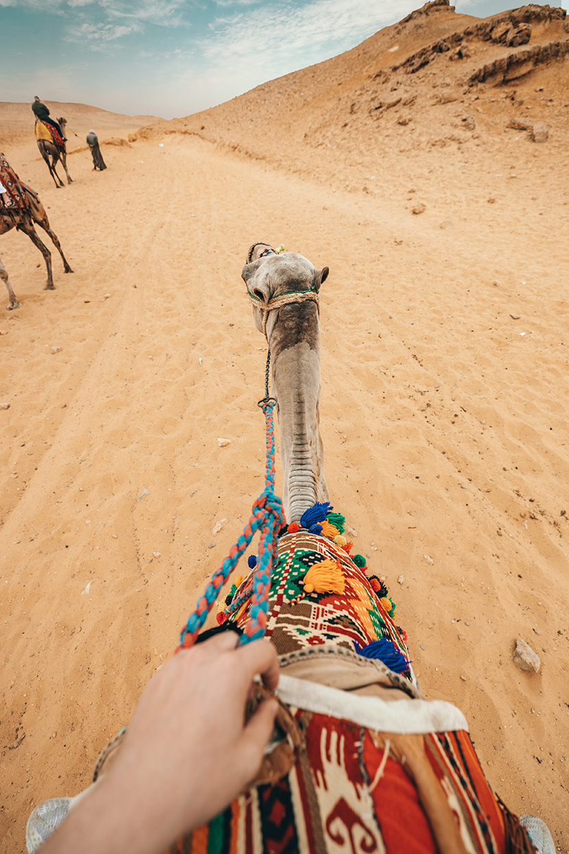 骑上我心爱的小骆驼去旅行