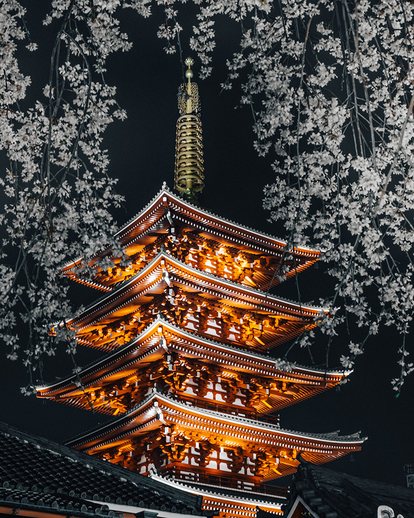 夜幕下的日本唐代古建筑