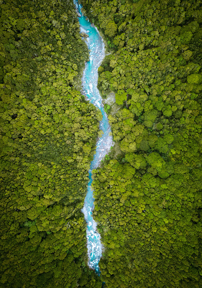 绿色森林中的一股小溪流