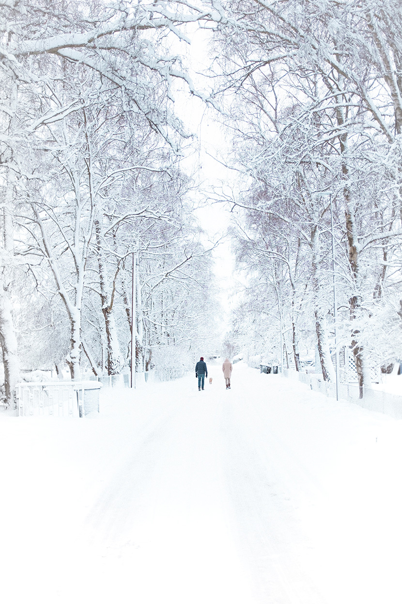 雪天散步的情侣