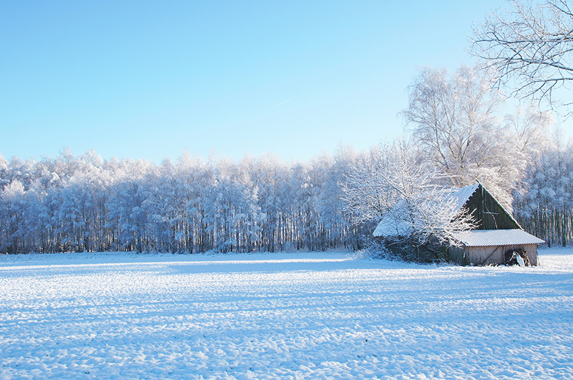 雪地树林前的小屋