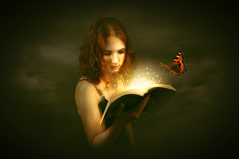 看书的少女与蝴蝶