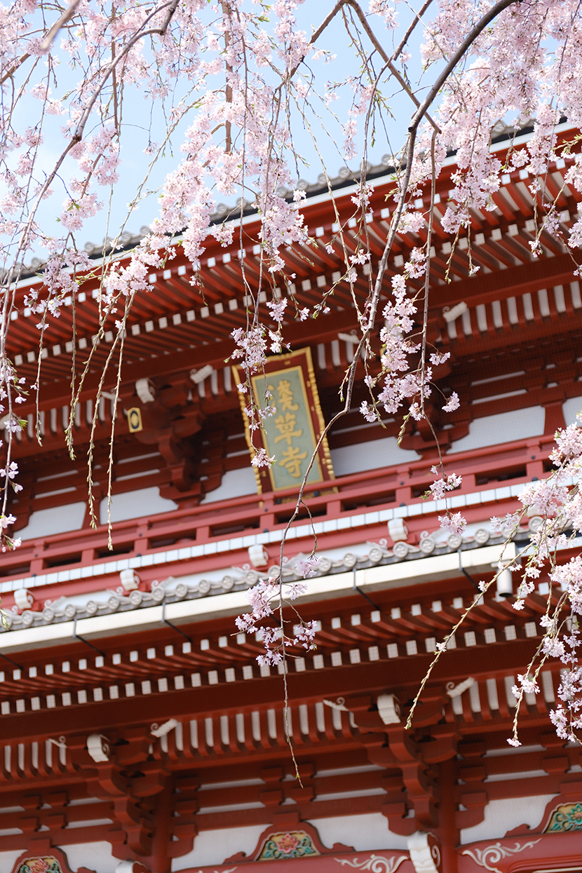 浅草寺(Sensoji Temple)位于东京都台东区，是日本现存的具有“江户风格”的民众游乐之地。其是东京都内最古老的寺庙。