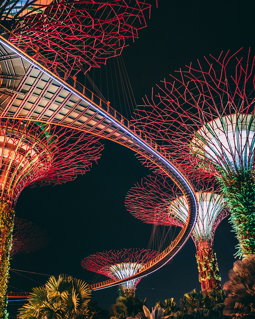 新加坡植物园夜景