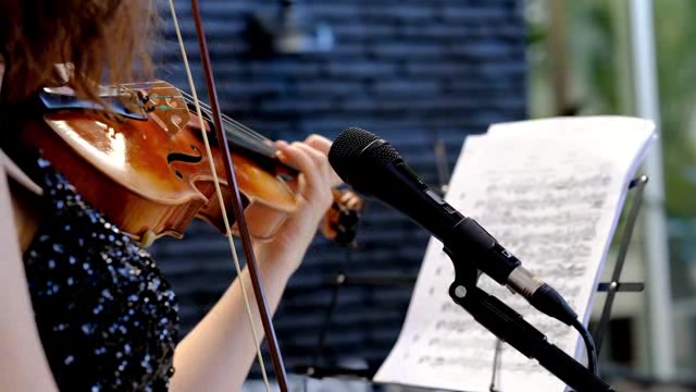 拉小提琴的女乐手短视频素材【4K】